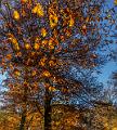 2015_11_01 (0004)